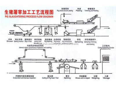威廉希尔体育